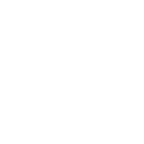 SoulSeek